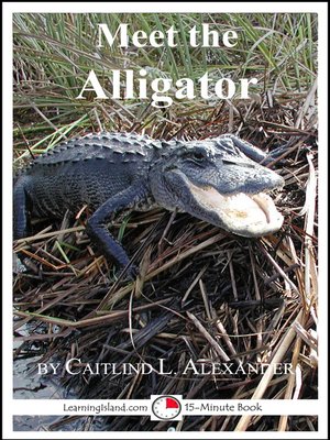 cover image of Meet the Alligator